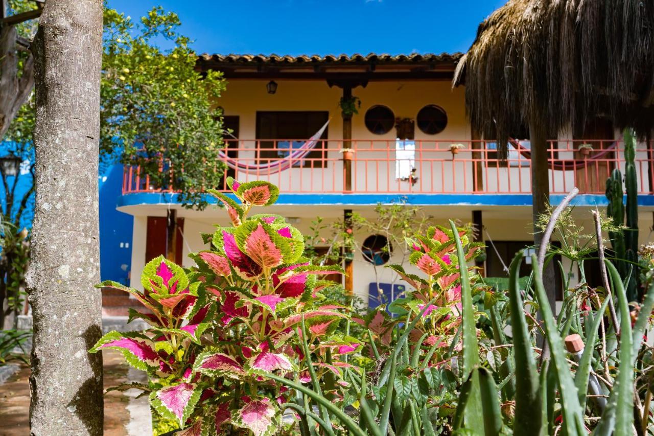 Hostal Jardin Escondido Vilcabamba Dış mekan fotoğraf