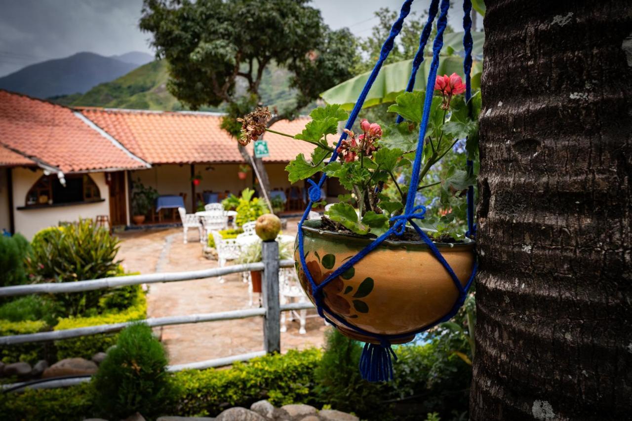 Hostal Jardin Escondido Vilcabamba Dış mekan fotoğraf